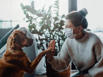 Les différentes méthodes pour éduquer son chien