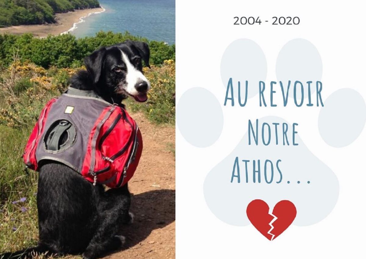 Muriel Robin vit un confinement endeuillé par la perte de son chien Athos