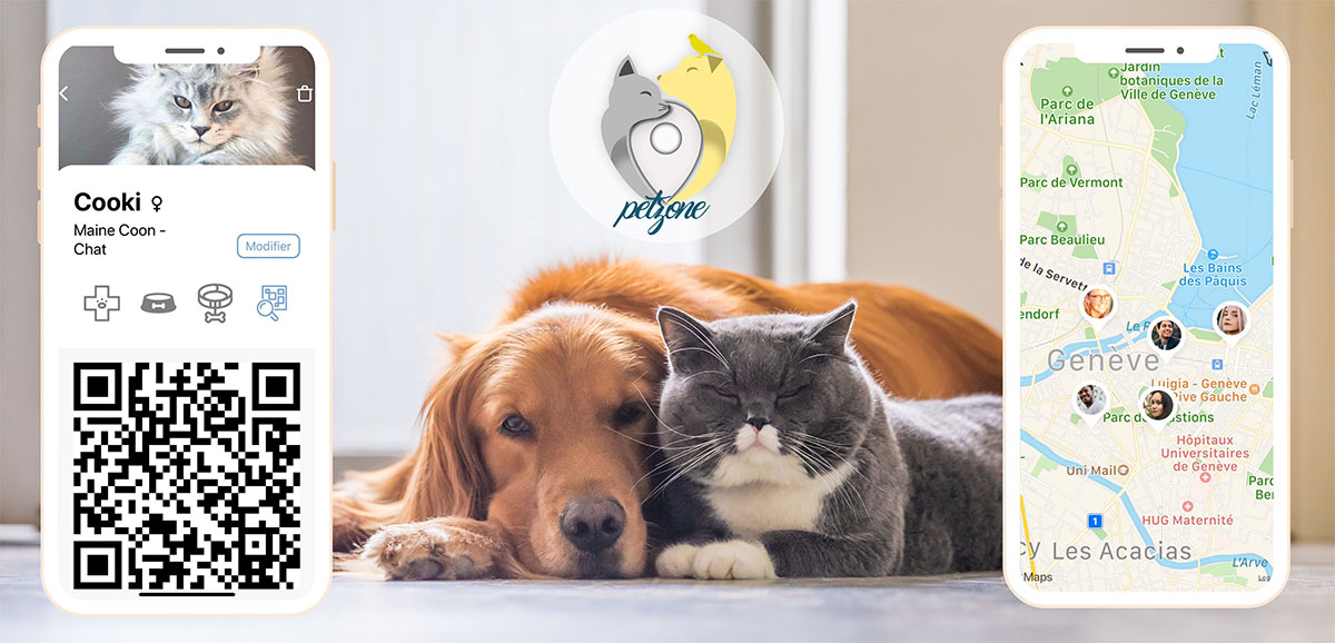 Petzone : l&rsquo;application mobile solidaire dédiée aux animaux de compagnie