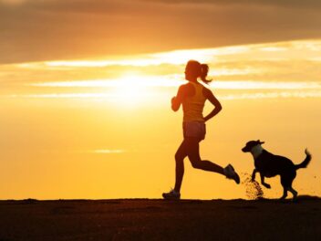 3 conseils pour pratiquer le cani-cross