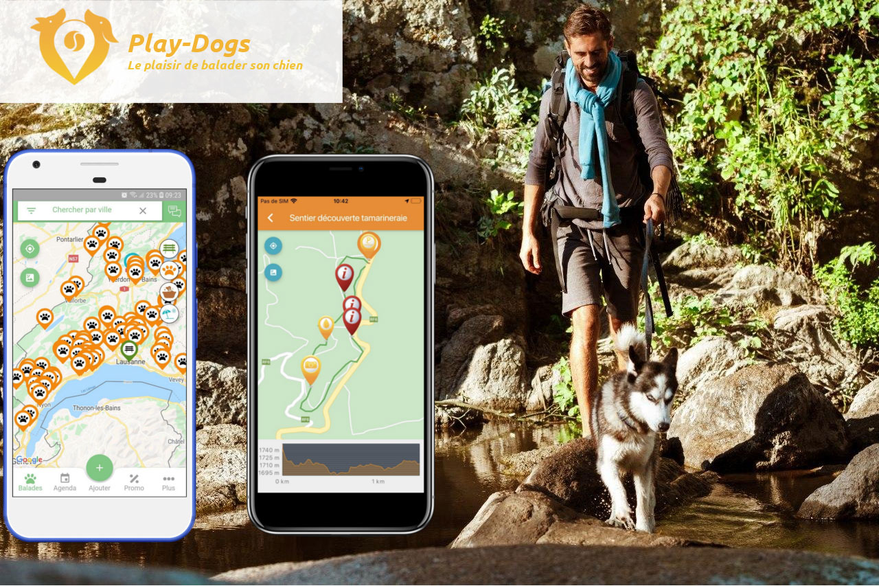 Play-Dogs, l&rsquo;application mobile parfaite pour vos balades avec votre chien