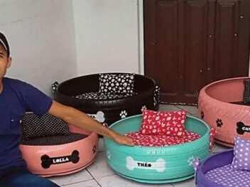 Des pneus recyclés en paniers pour chiens et chats