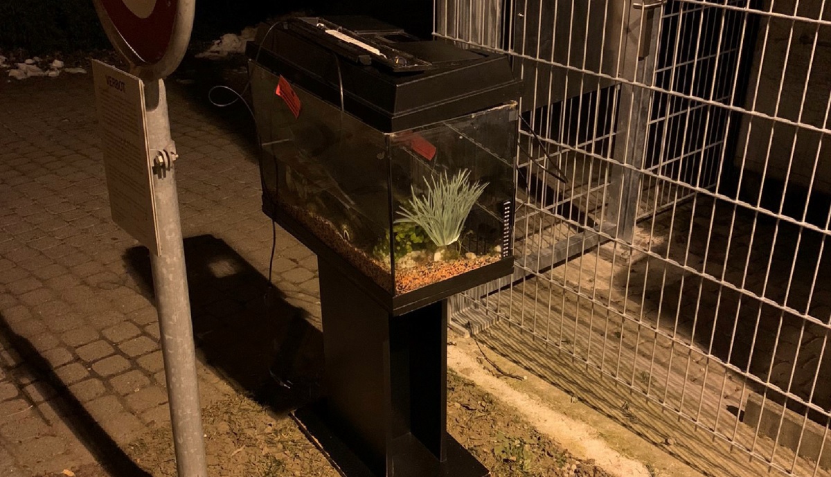 Un aquarium avec des poissons vivants abandonné dans une déchetterie à côté de Berne