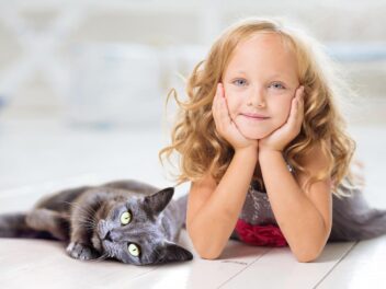 15 races de chats idéales avec les enfants