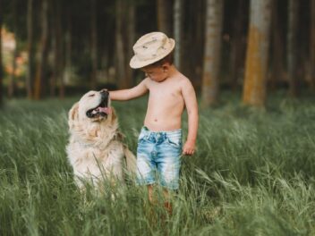 10 races de chiens les plus gentils avec les enfants