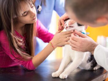 Vermifuger son chat : comment et pourquoi