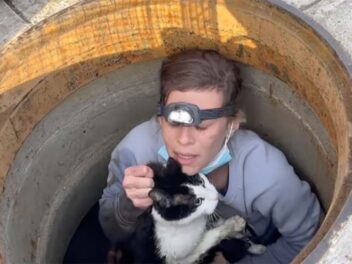 Une jeune femme se glisse dans un égout pour sauver un chat !