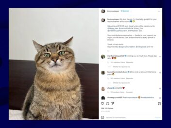 Le chat star d’Instagram en Ukraine a réussi à fuir le pays !