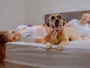 Des experts démontrent un impact négatif des animaux sur le couple !