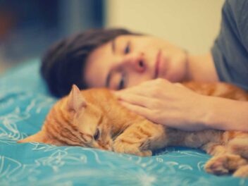 6 raisons de ne pas dormir avec votre chat