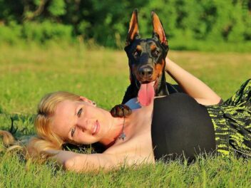 Voici 8 races de chien qui défendent très bien leur maître