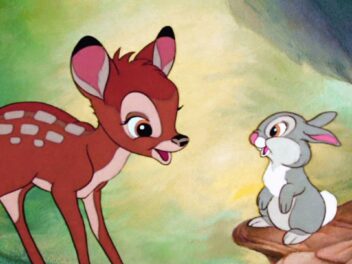 Quel animal est Panpan ?