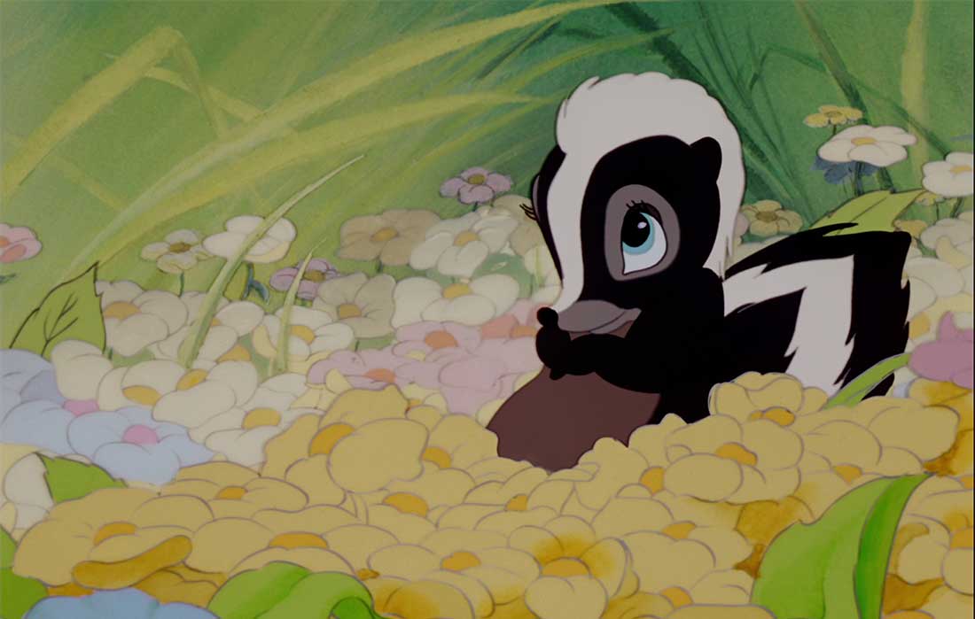 Quel animal est Fleur ?