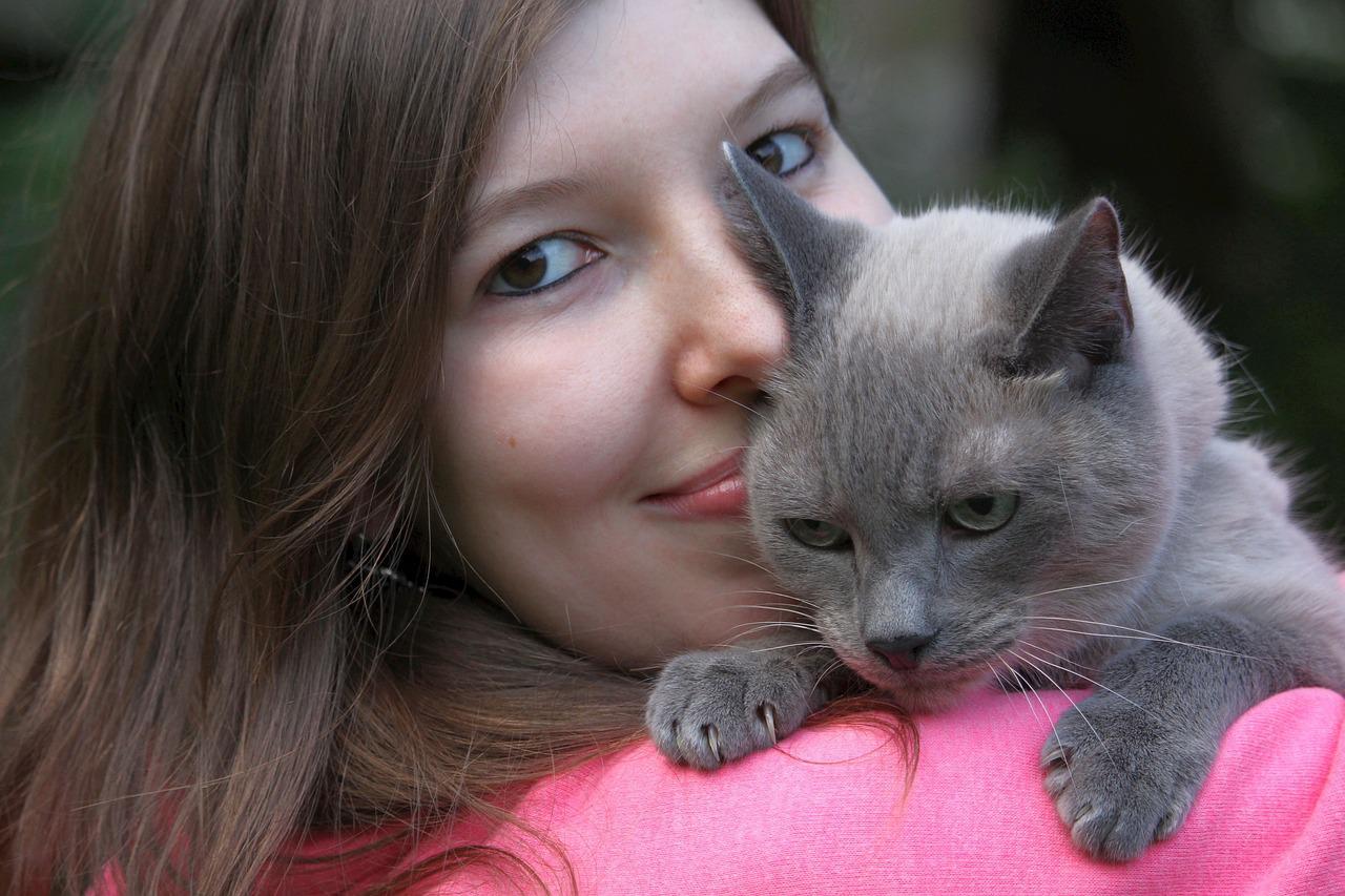 4 races de chat qui vont vous consoler Animal.ch