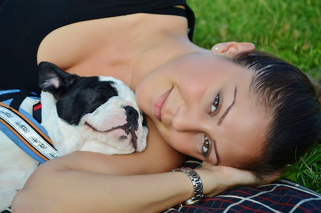 races chien les plus aimantes