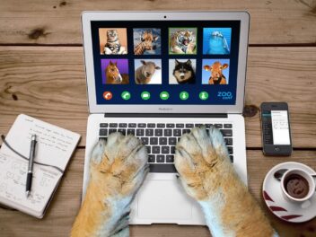 9 vidéos de chiens les plus étonnantes de la semaine