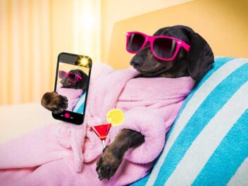 Le chien le plus laid de Grande-Bretagne s&rsquo;offre une luxueuse journée de spa