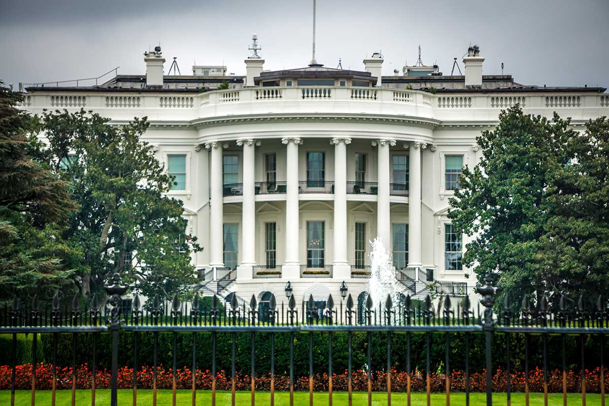 Chiens de la Maison Blanche : 15 présidents et leurs chiens en photos