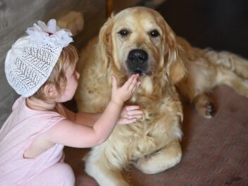 Voici les 8 races de chien qui sont les plus commodes