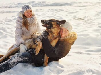 Les 9 races de chien qui ne pensent qu’à leur maître