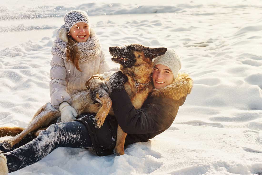 Les 9 races de chien qui ne pensent qu’à leur maître