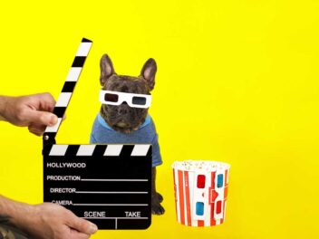 Les vidéos de chiens les plus étonnantes de la semaine