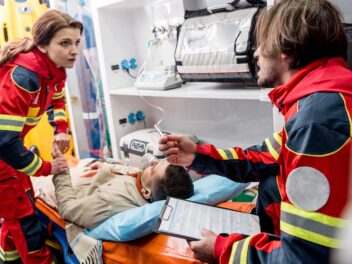 Les 10 animaux les plus dangereux pour les humains en France