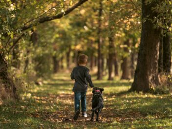 Un garçon de 4 ans porté disparu sauvé avec son chien