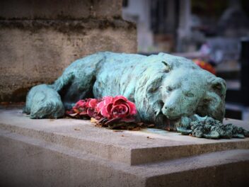 Trouver du soutien après la perte d&rsquo;un chien