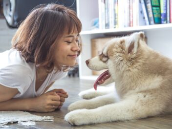 Divorcé et co-parent de votre chien ?