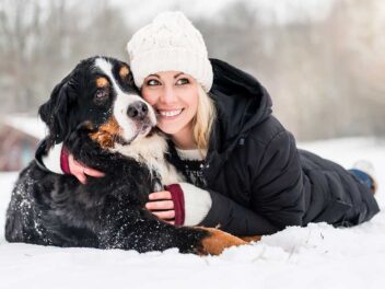 Voici les 8 races de chien qui adorent les papouilles