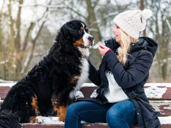 Voici les 7 races de chien qui sont toujours en symbiose avec leur maître