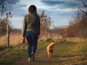 Un homme promenant son chien trouve une main humaine