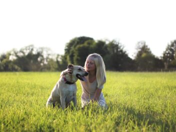 Voici les 8 races de chien qui ont une très belle complicité avec leur maître