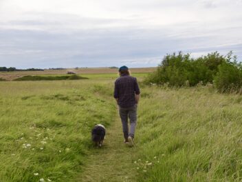 Quelles sont les races de chien qui vont emboiter le pas de leur maître ?
