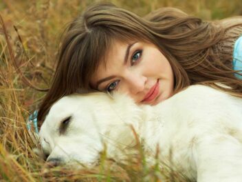 Voici 10 races de chien qui ont une très belle cohésion avec leur maître