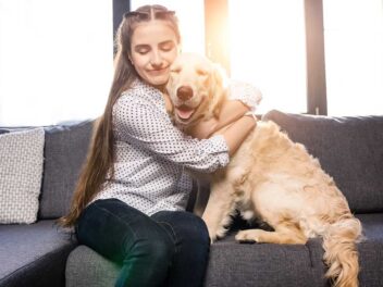 Voici les 8 races de chien qui ont une belle harmonie avec leur maître