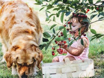 Un chien choisit le nom du nouveau bébé de ses maîtres