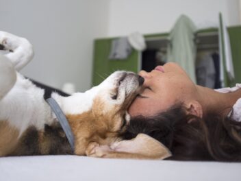 Voici les 8 races de chien qui sont sous le charme de leur maître