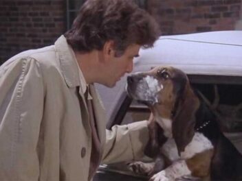 Le chien de l&rsquo;inspecteur Colombo : Quelle race est-ce ?