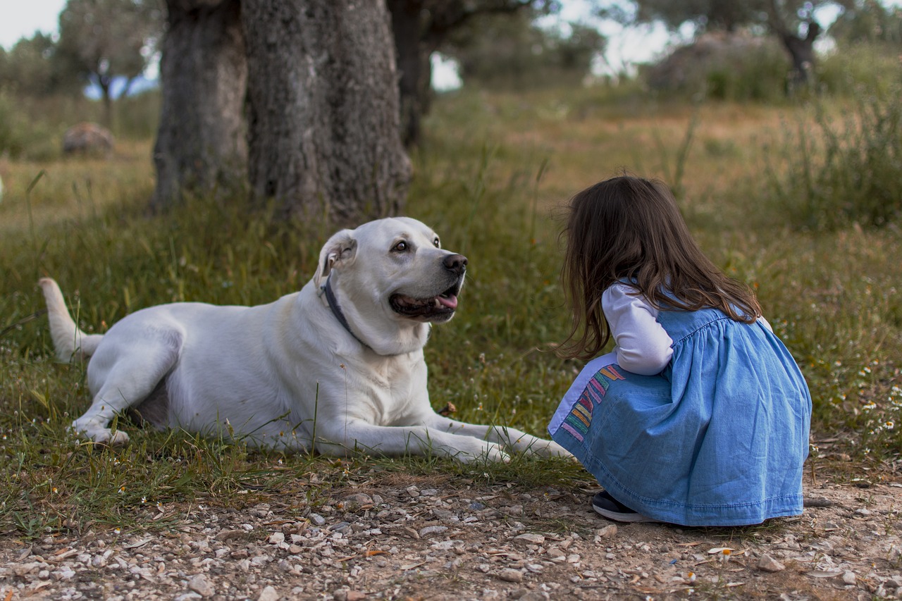 Pourquoi les chiens sont meilleurs que les enfants