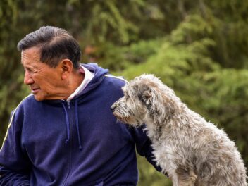 Voici les 9 races de chien qui sont folles de leur maître