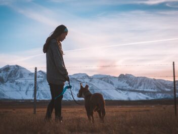 Combien de fois devriez-vous promener votre chien ?