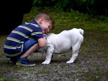 Les avantages de posséder un chien pour les enfants