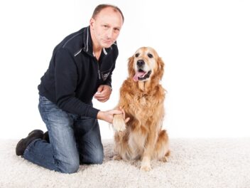 Les erreurs les plus courantes avec ses chiens