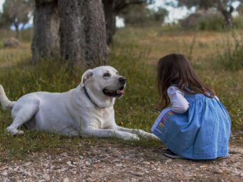 Comment apprendre aux enfants à être gentils avec les chiens ?