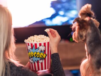 La Thaïlande ouvre le premier cinéma accueillant les animaux de compagnie