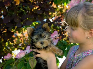 Les meilleures races de chiens pour les enfants