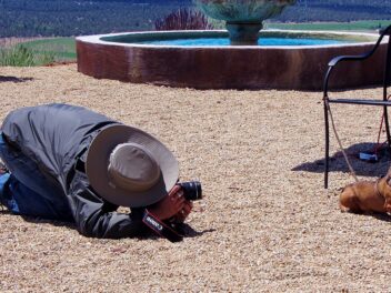 Comment prendre les meilleures photos de votre chien