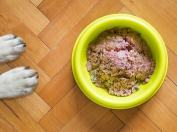 Compléments alimentaires pour chiens